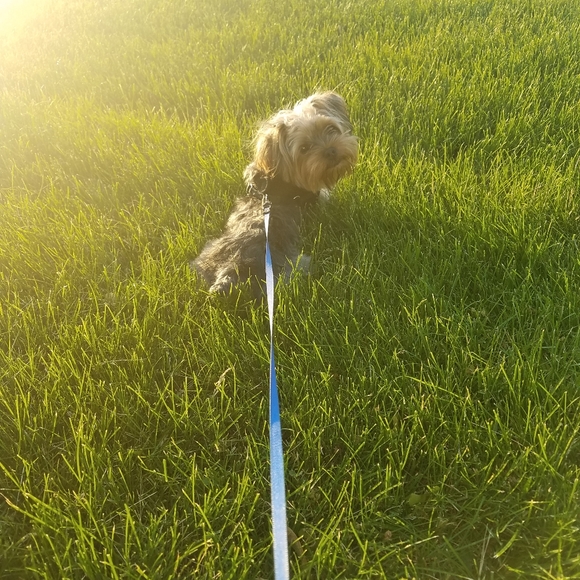 Meet your Posher, Dainora - Picture 6 of 6